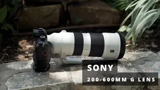 Sony 200-600mm G Lens Hands-On Review