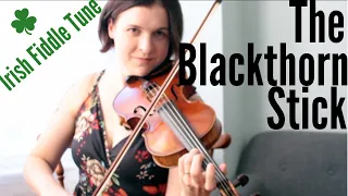 The Blackthorn Stick - Irish treble/heavy jig