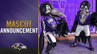 Eric DeCosta Announces Signing of Poe's 2022 Replacements | Baltimore Ravens