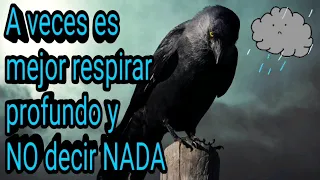 🦋A veces es mejor respirar profundo y NO decir nada