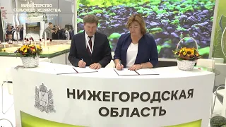 Нижегородская область на выставке "Золотая осень" (2022 год).