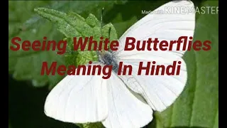 Seeing White Butterflies Meaning in Hindi