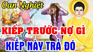 Chuyện Nhân Quả Hay Nhất 2024 , KIẾP TRƯỚC NỢ GÌ KIẾP NÀY TRẢ ĐÓ | Nhân Quả Báo Ứng Không Chừa 1 Ai