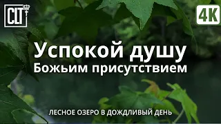 Не можешь уснуть? Засыпай, слушая Божье Слово для исцеления и  успокоения души под дождь | Relaxing