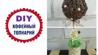 DIY топиарий, кофейное дерево