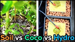 Soil vs Hydro vs Coco Blend for Indoor Gardening and Hydroponics