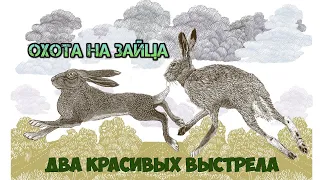 Охота на зайца 2021. Два красивых выстрела. Hunting for hares