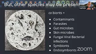 Mon 11 Sep, 17:00 - Checking for cobionts in public genomes using BlobToolKit