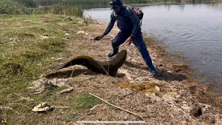 नहीं पकड़ने वाला भी पकड़ी इस तरह Murre fishing techniques spinner fishing