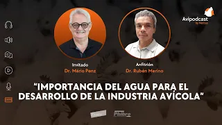 #30 - Importancia del agua para el desarrollo de la industria avícola