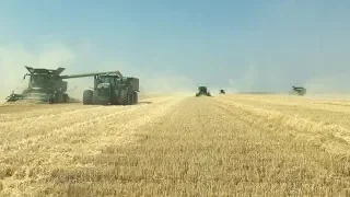 Montana Wheat Harvest 2018