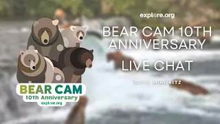 Bear Cam 10th Anniversary  | Brooks Live Chat