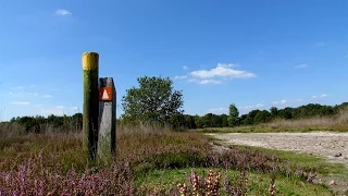 Weerbericht donderdagmiddag: Veel zon en warm