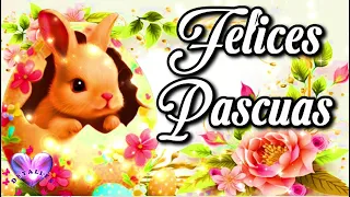 FELIZ DOMINGO DE RESURRECCIÓN Felices Pascuas Happy easter Feliz Domingo de Pascua 2024