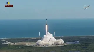 SpaceX запустила в космос генетически модифицированных мышей