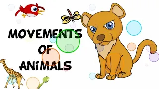 Movements of Animals | Science Lesson in Kindergarten