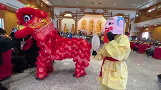 ACA Lion Dance - Dharma Seal Temple LNY Celebration 2024 (Namsi)