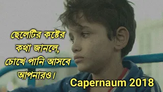 Capernaum (2018)  movie explained in bangla By Cine folks.