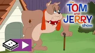 The Tom and Jerry Show | 105 Years Old! | Boomerang UK 🇬🇧