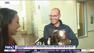 Humane Society of Silicon Valley receives $2 million donation to ease financial burden of pet owners