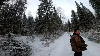 Первый день, фотоловушки.