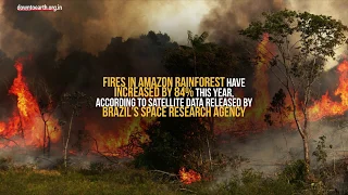 Record surge in forest fires in Amazon rainforest