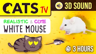 CATS TV - The BEST Mouse Game for CATS 🐭 3 HOURS (Realistic running mouse on cheese 🧀)