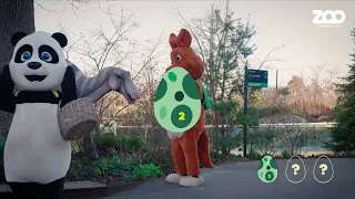 ZOO Børneklub: Pelle & Kaya på æggejagt i Dinozoo 🦖