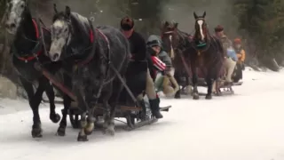 Skaldowie Z kopyta kulig rwie Starzyny