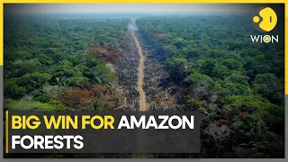 Deforestation in Brazil's Amazon has reduced by 33% in 2023 | WION Climate Tracker | Latest News