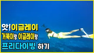 따뜻한 사이판에서 친구랑 프리다이빙하기 딤플 아이스크림 포인트