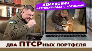 Демидович забыл как звать жену и разговаривает с котиками!!! Два ПТСРных ПОРТФЕЛЯ