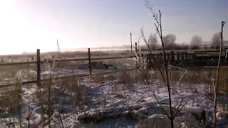 Экстримальная уборка подсолнечника зимой. Первый день с автономкой в КАМАЗе.Фермерские будни.