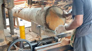 Sawing Coconut Trees With a Size of 2x20 for Home Material