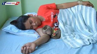 Lovely Family | Cutie Luna Sweet Dream On Mom Hand Like Human Baby