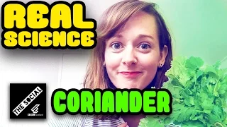 CORIANDER | REAL SCIENCE
