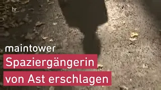 Ast erschlägt Frau im Frankfurter Stadtwald | maintower