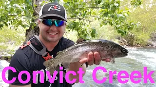 Convict Creek Trout Fishing