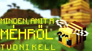 Minecraft: Minden, amit a Méhről tudni kell!