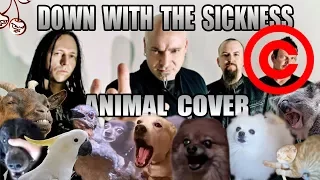 Disturbed - Down With The Sickness (Animal Cover) [REUPLOAD]