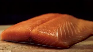 Salmon Fillet Stock Video