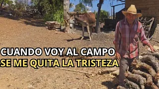 "Cuando voy al campo se me quita la tristeza"|Tío Rey