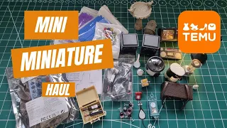 Mini miniature Temu haul