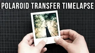 Polaroid transfer timelapse and an experiment / MyWoods#14 by Aleksandra Wolter