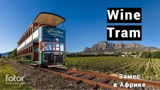 Franschhoek Wine Tram. Винный трамвай в Кейптауне. ЮАР. Замес в Африке, часть 21