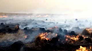 Wildfires extend to north China prairie from Russia and Mongolia