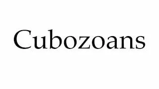 How to Pronounce Cubozoans