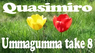 Quasimiro - ummagumma take 8 - ambient psycedelic atmospheric electro healing pop soundscape sitar