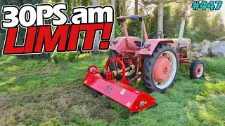 LEISTUNGSGRENZE! | Mulchen mit Mc Cormick D430 | DEMA 175 Mulcher | Mr. Moto