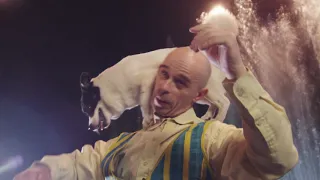 close up view of circus acrobatic act with clown and dog moscow russia hf